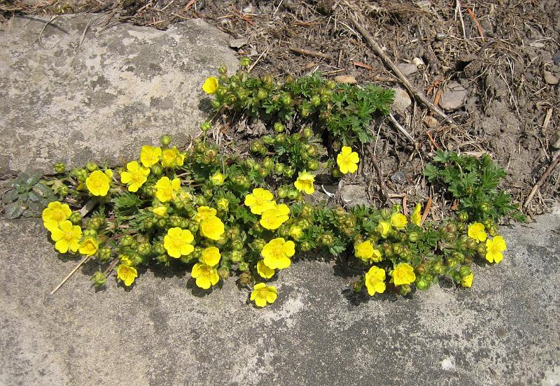 2010 04 17 A